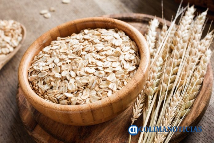 Avena