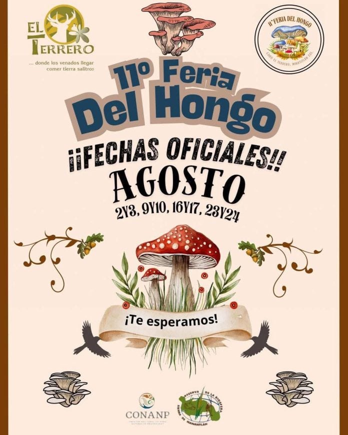 Feria del Hongo 2025 en El Terrero