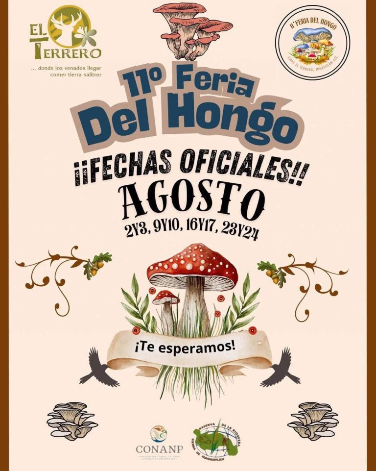 Oficial: en agosto la Feria del Hongo 2025 en El Terrero y Lagunitas