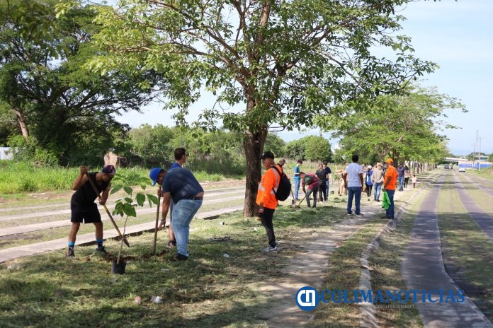 Gobierno de Riult Rivera impulsa campaña de reforestación urbana en la avenida Constitución