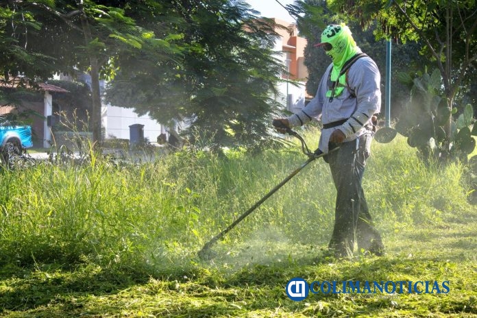 Gobierno de Riult Rivera pone en marcha brigada de limpieza y reforestación urbana
