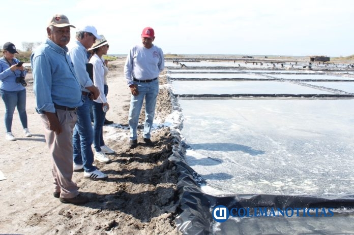 Gobierno del Estado de Colima convoca al Premio al Mérito Agropecuario 2025 (4)