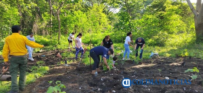 Gobierno del Estado reforesta 3 parques de la zona metropolitana (6)