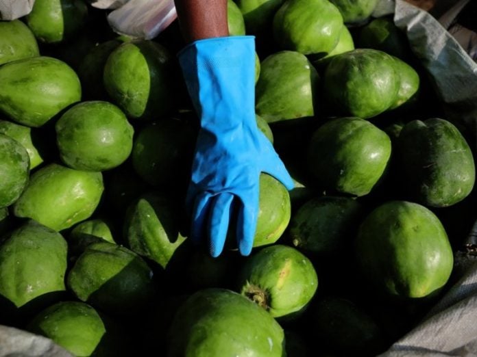 Hallan más de 23 millones en metanfetamina en cargamento de papaya