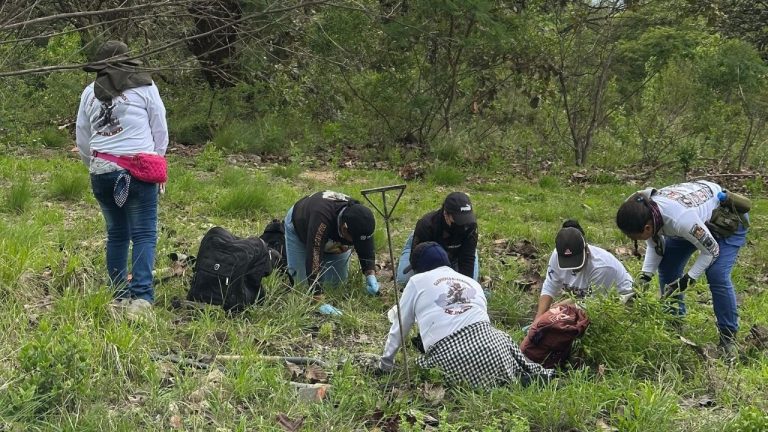 Guerreros Buscadores de Jalisco hallan otro presunto crematorio clandestino cerca de Teuchitlán