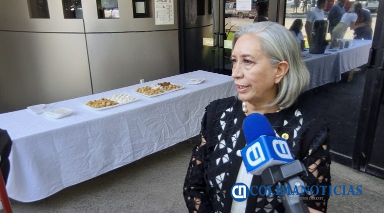 Colima es un referente a nivel nacional en obras portuarias y carreteras: Canacintra