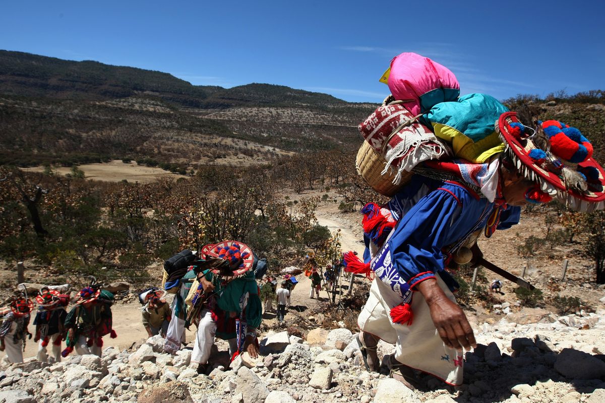 La Unesco designa a la Ruta Wixárica de México como Patrimonio Mundial |  Colima Noticias