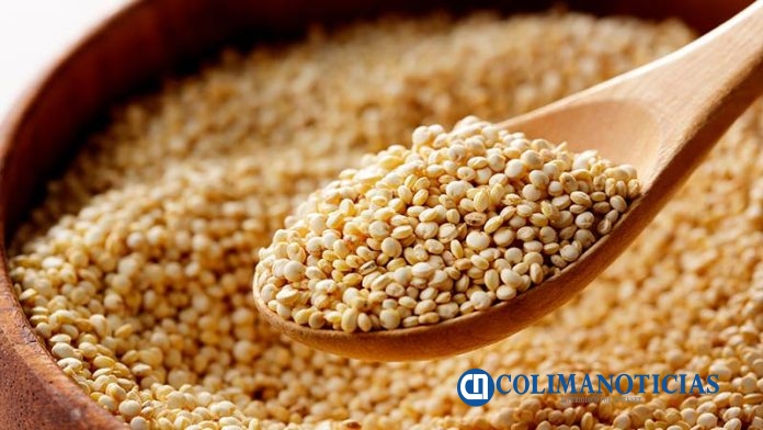Quinoa