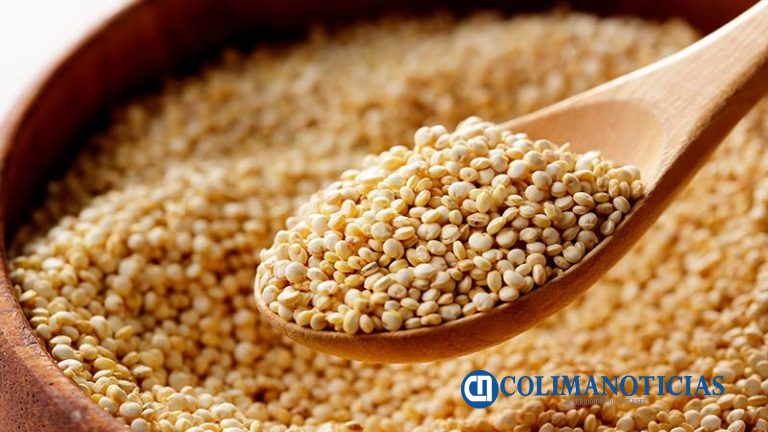 ¿Qué es la quinoa y cuáles son sus beneficios?