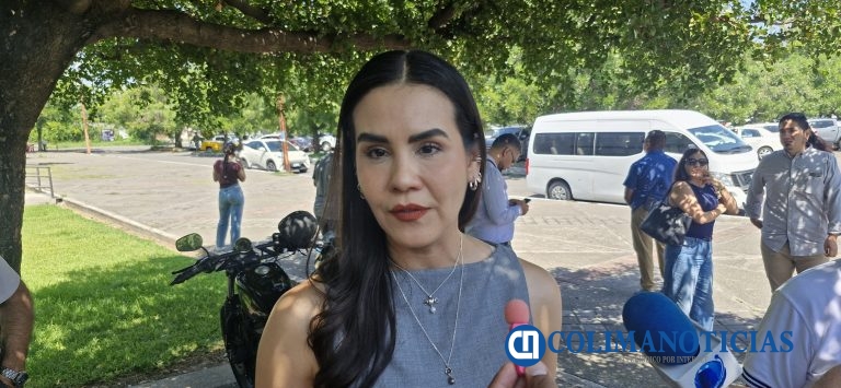 Las playas de Manzanillo, sin riesgo sanitarios en temporada vacacional: Bayardo