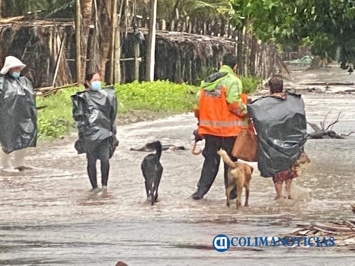 Abandono de mascotas en playas de Tecomán