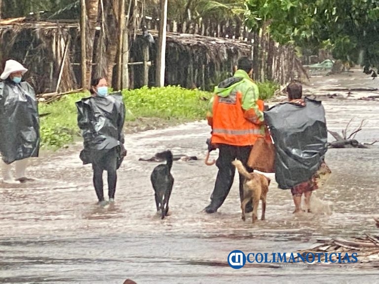 Persisten casos de abandono de mascotas en playas de Tecomán; sociedad muestra poco compromiso: animalistas