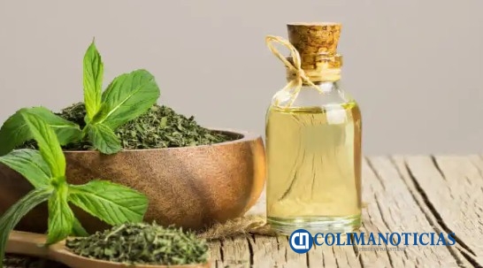 Aceite de orégano