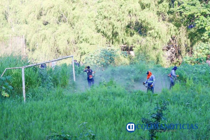 Brigada de limpieza y rescate de espacios públicos (4)