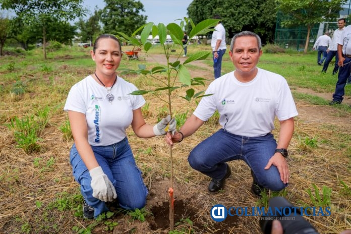 Con 520 árboles inicia ReforestAcción 2025, en el campus Coquimatlán_e