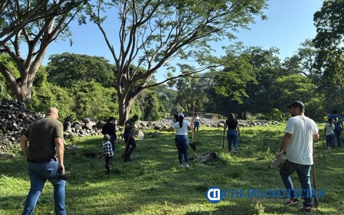 Conagua impulsa la reforestación