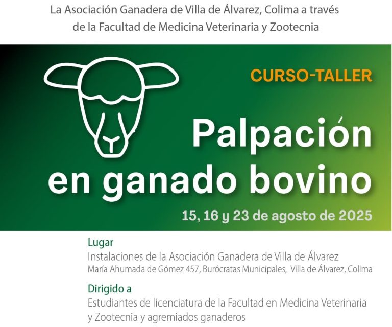 Impartirán UdeC y Asociación Ganadera de Villa  de Álvarez, curso de palpación en ganado bovino