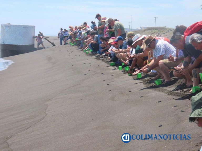 ¡Comienza la magia! Inicia la liberación de tortugas en el Tortugario de Cuyutlán