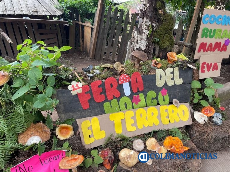 ¿Te lo perdiste? Concluyó con éxito Feria del Hongo