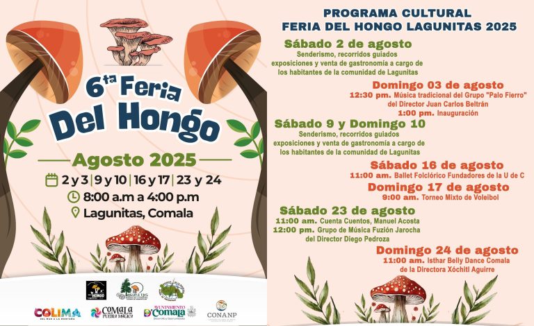 ¡Este sábado inicia Feria del Hongo en Cerro Grande!