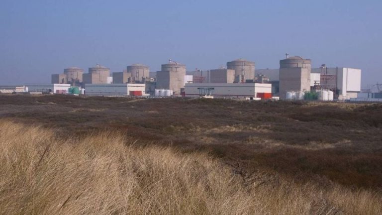 La presencia de medusas paraliza la mayor central nuclear de Francia
