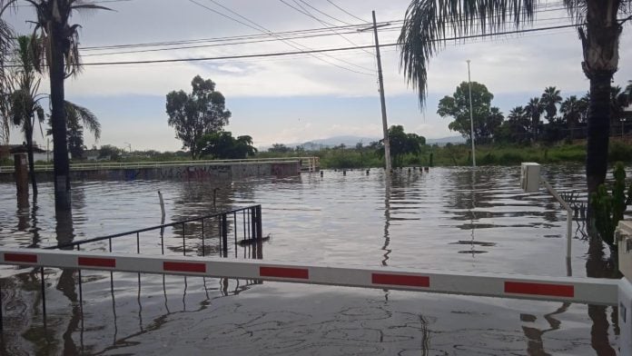 GDL