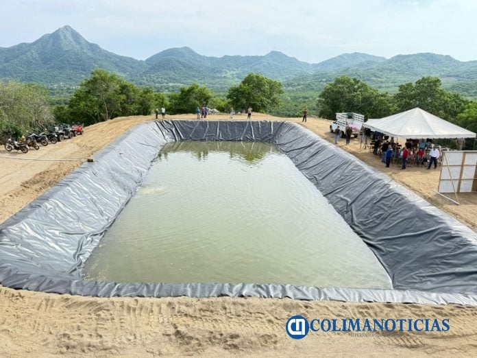 Gobierno del Estado de Colima impulsa construcción de 12 ollas con geomembrana para captar agua (2)