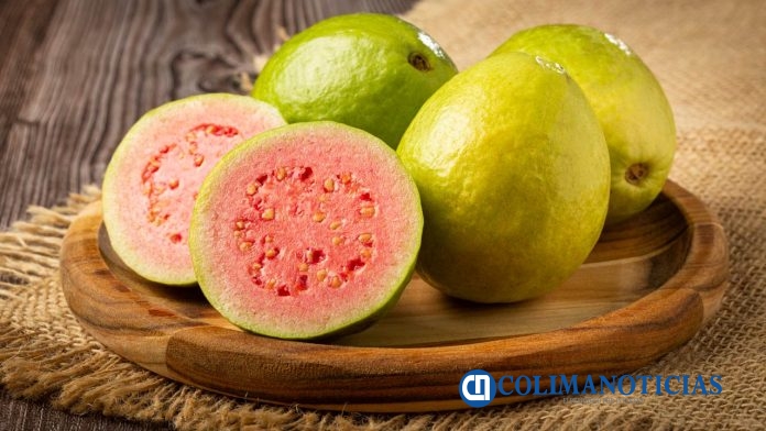 Guayaba