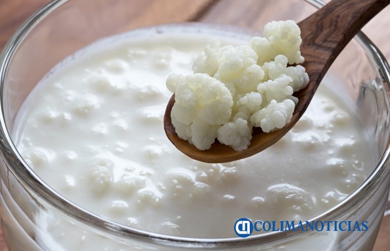 ¿Cuáles son los beneficios del kéfir para la salud intestinal?