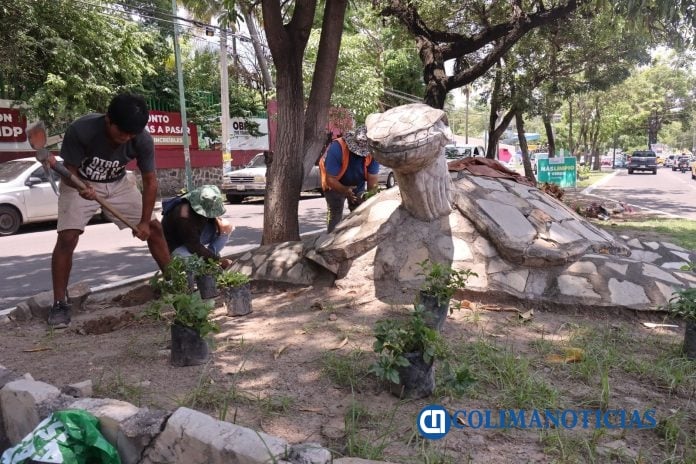 Programa Colima Verde y Vivo (4)