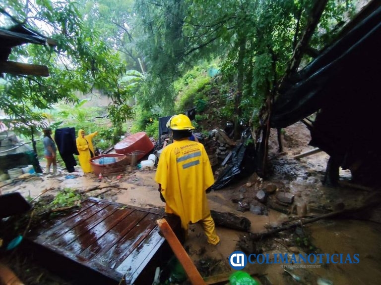 Árboles caídos, una mujer lesionada y una vivienda con daños materiales han dejado las lluvias en Manzanillo