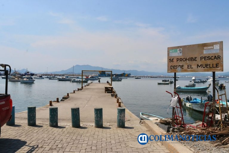 Rehabilitación del Mercado de Pescadores, Muelle de Pescadores e Iguanario; parte de las obras anunciadas por Rosi Bayardo