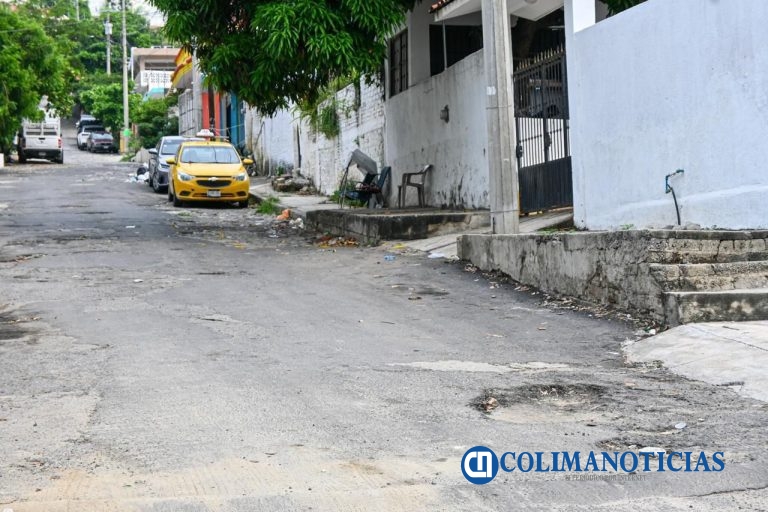 Rosi Bayardo arranca rehabilitación con concreto hidráulico en la calle Arnulfo Flores en Santiago