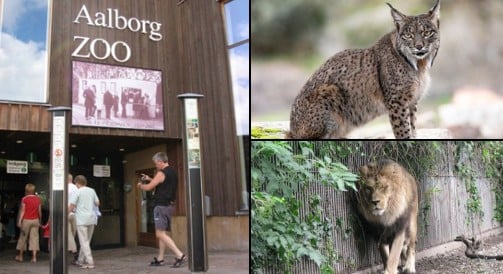 Zoológico de Dinamarca