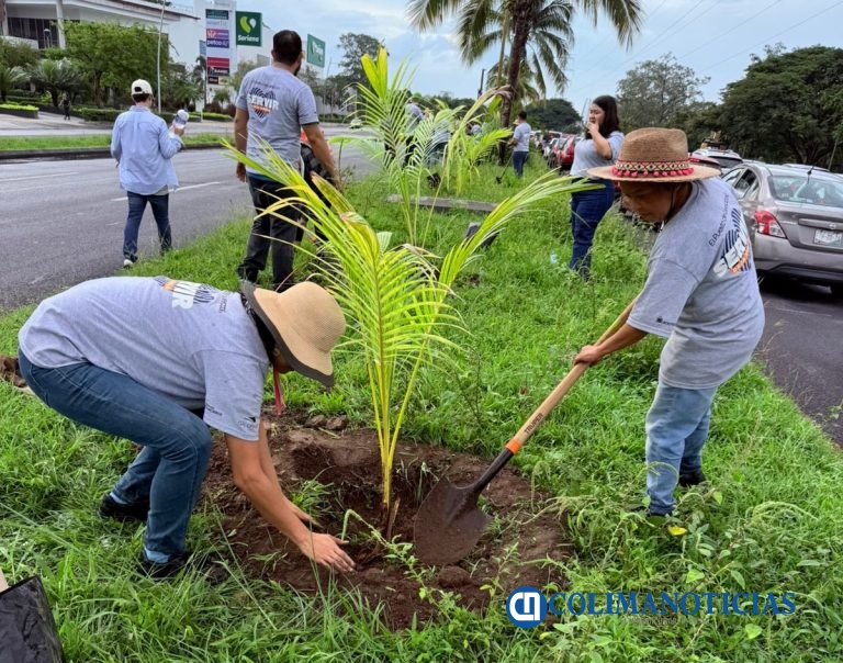 ‎Reforestan VdeA y Liverpool ‎Tercer Anillo Periférico