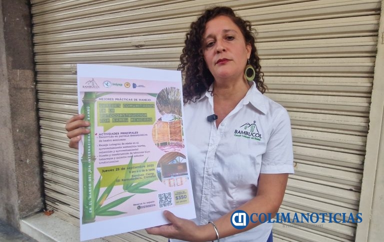 En Bamboo Camp Colima enseñarán a construir cocina rural, un espacio dentro de tu casa o una vivienda con Bambú