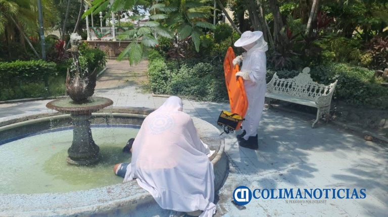 Ciudadano atacado por abejas recibe atención médica; Ayuntamiento de Colima da acompañamiento a su familia