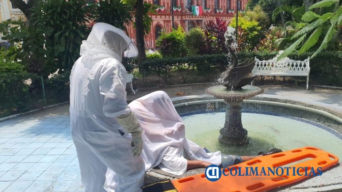 Combaten enjambre de abejas en el jardín Libertad