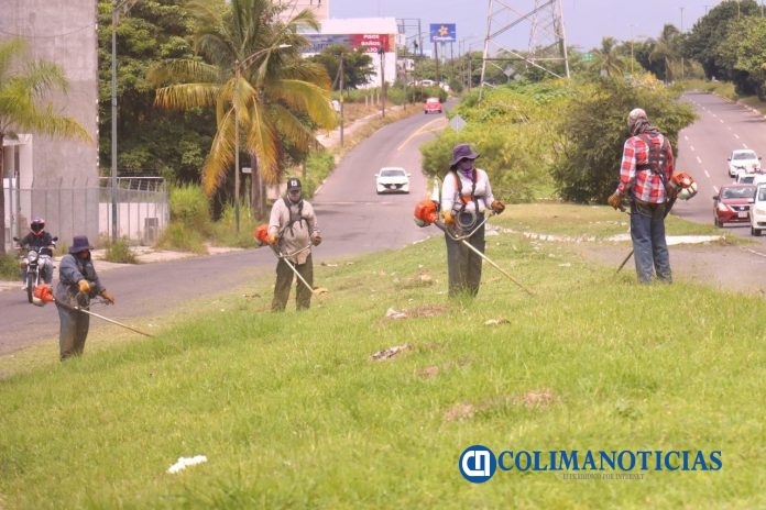 Cuadrilla de Parques y Jardines de Colima (3)