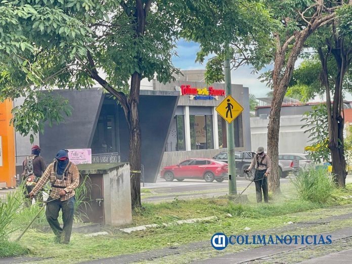Cuadrilla de Parques y Jardines del Ayuntamiento de Colima (3)