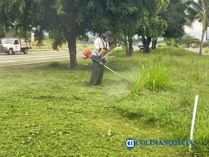 Cuadrillas de Servicios Públicos de Colima (5)