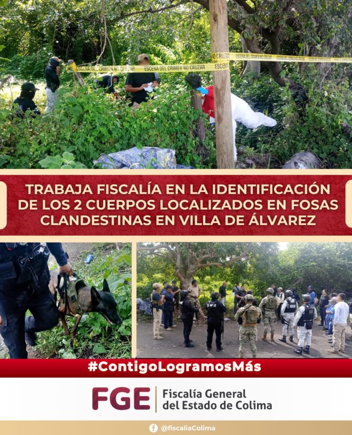 FGE Colima