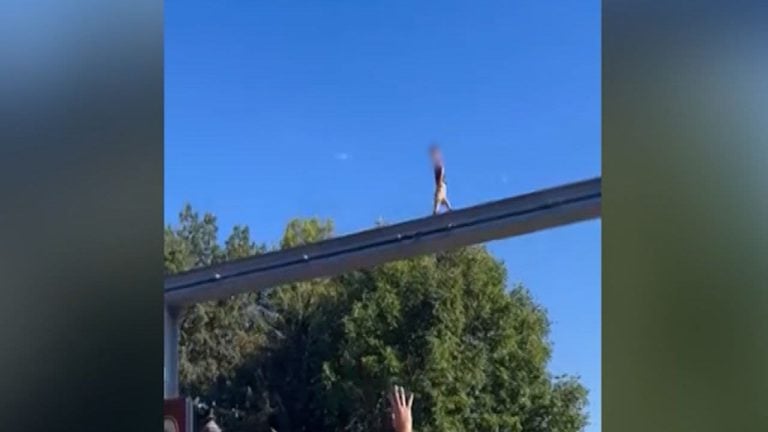 En Hersheypark, Pensilvania, un hombre arriesgó su vida al saltar a las vías del monorriel para rescatar a un niño con autismo| Video