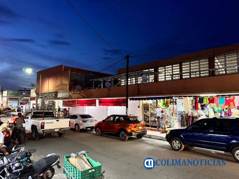 Piden revisar condiciones estructurales y legales del mercado municipal de Tecomán