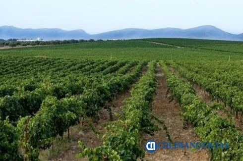 Productores
