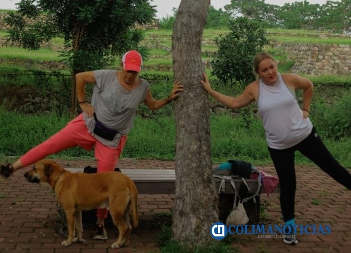 Ruta Vital, ejercicio para la vida cotidiana_b (1)
