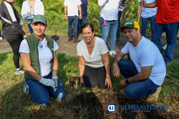 Siembran UdeC y Ayto, 250 árboles en Tecomán_a