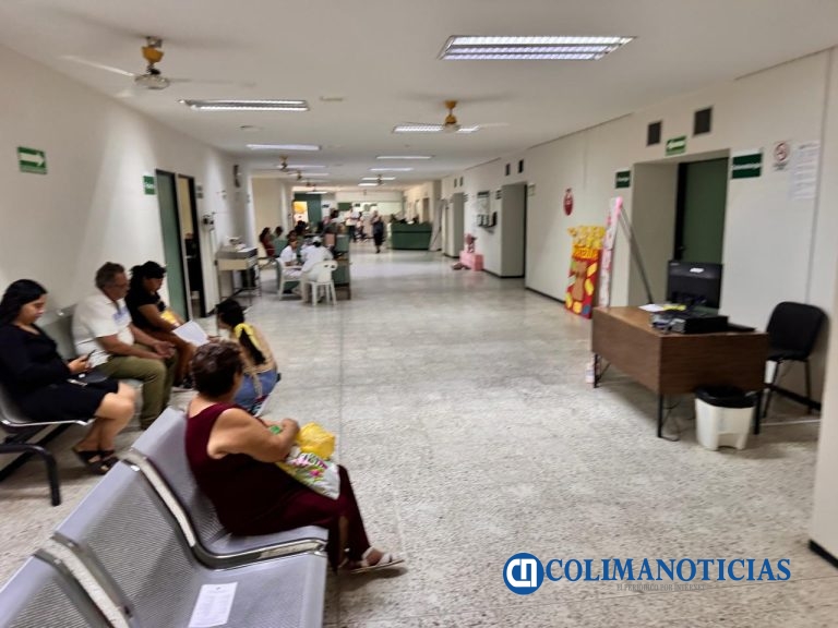 Urge una Unidad de Cuidados Intensivos Neonatales en Tecomán: Dra. Vidales