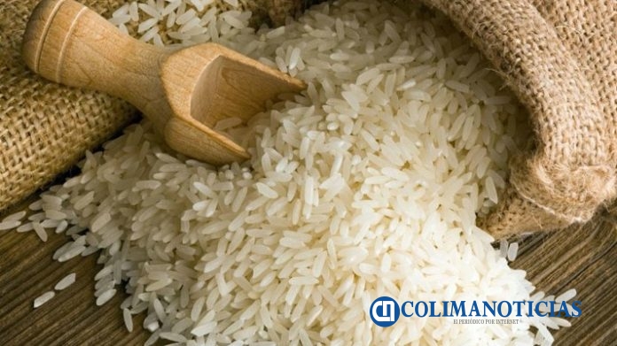 ARROZ