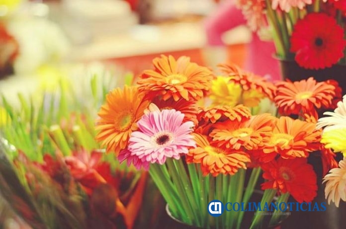 Altos costos ponen en riesgo las tradiciones del Día de Muertos en Tecomán